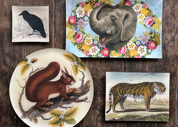 Wild Animals