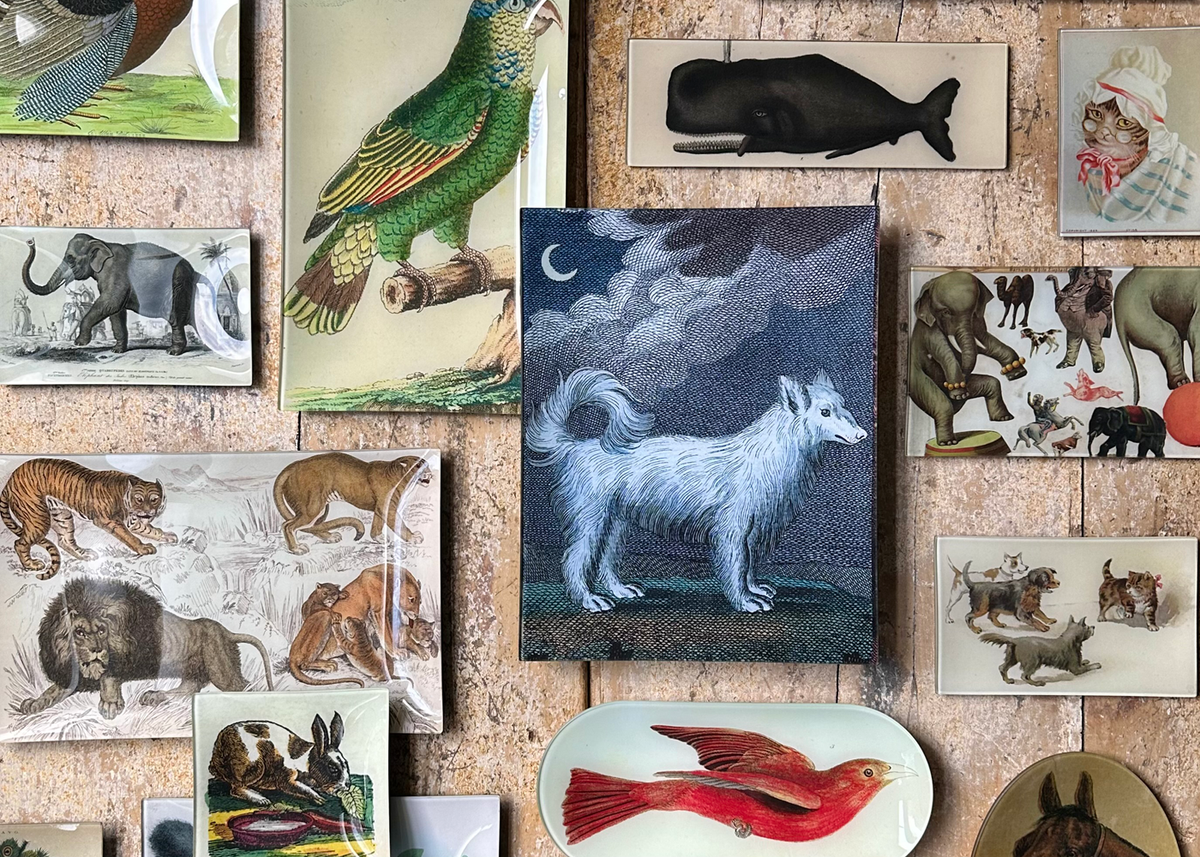 All Creatures Great & Small