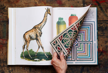 John Derian Picture Book on table with hand flipping the table