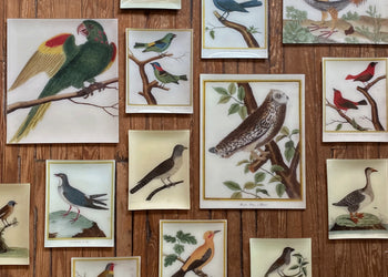 Fall 2026 Decoupage Collection