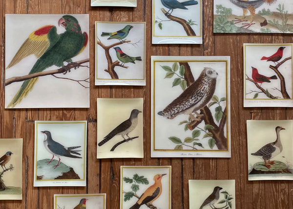 Fall 2026 Decoupage Collection