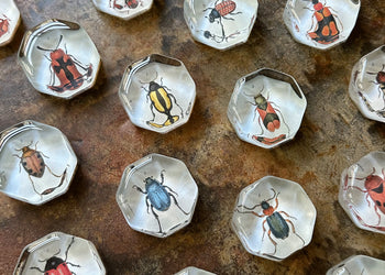 Bugs