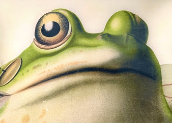 Leap Year Frogs