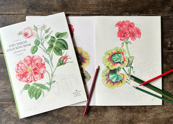 John Derian Colouring Book: Flowers