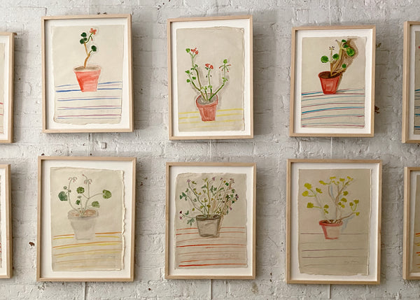 brick wall with a gallery of watercolor paintings featuring a variety of flower pots framed in natural frames