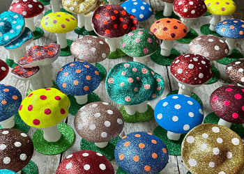 Mushroom Magic