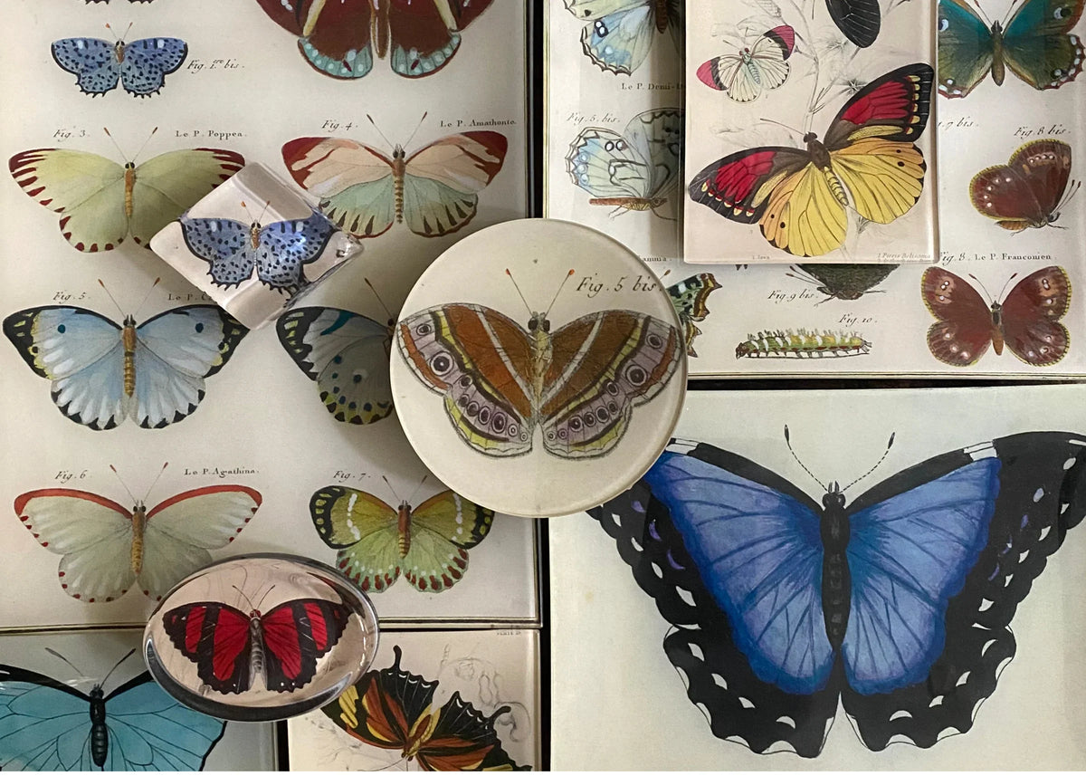 John_derian_Collection_Decoupa