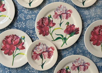 Melamine Plates & Trays