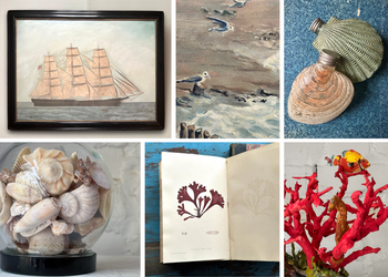 Seaside Creations