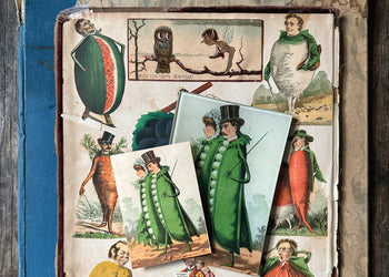 In the Drawer: Seed Package Trading Cards