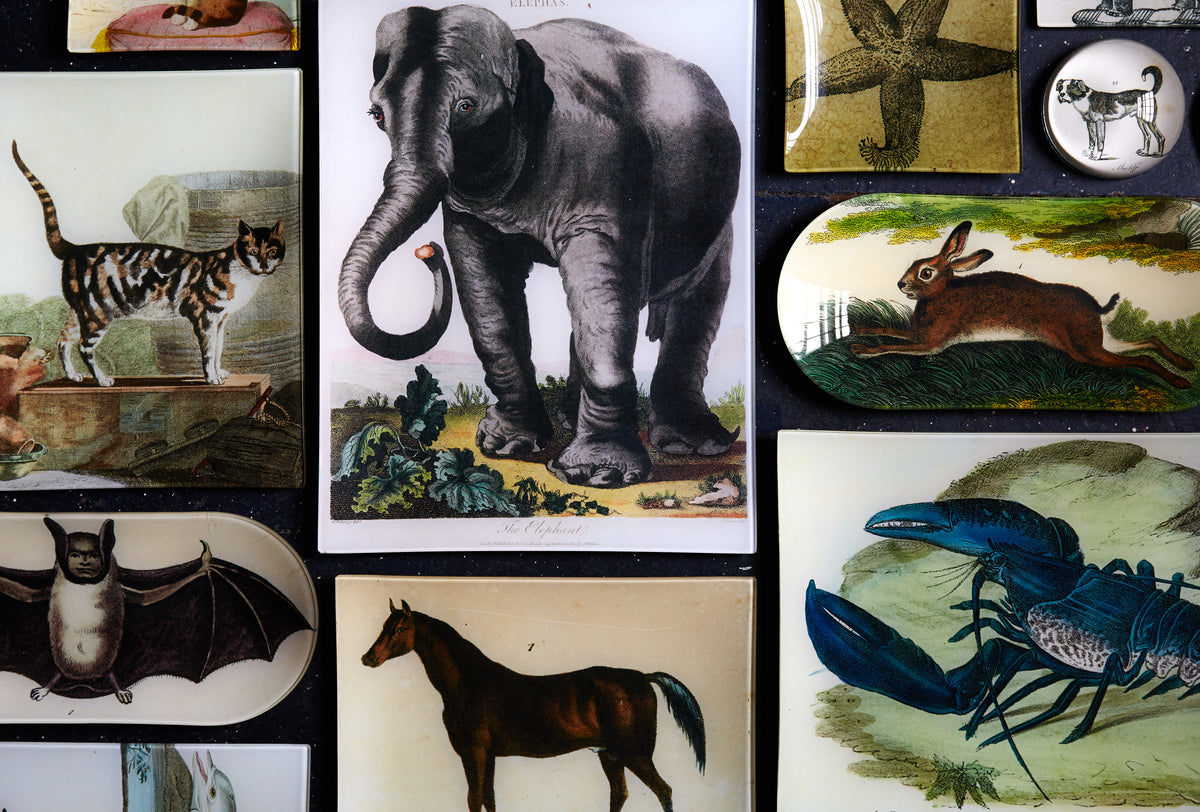 Animals on Sale