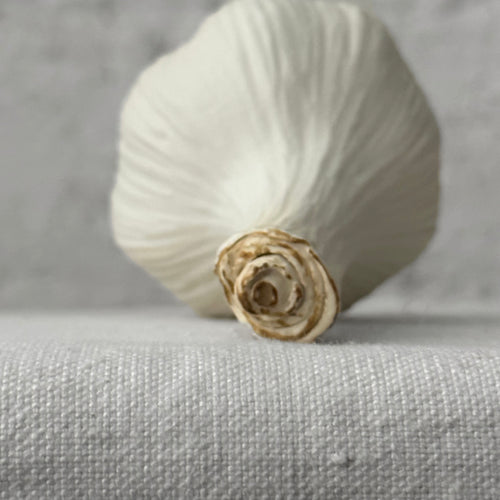 Porcelain Tall White Garlic