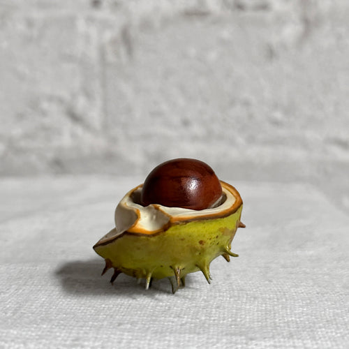 Porcelain Baby Horsechestnut Lid with Removable Nut