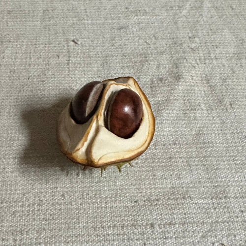 Porcelain Baby Horsechestnut Lid with Two Removable Nuts
