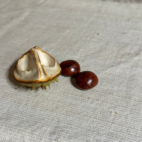 Porcelain Baby Horsechestnut Lid with Two Removable Nuts