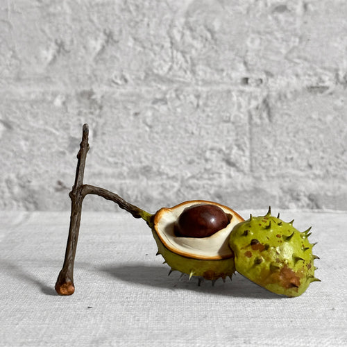 Porcelain Baby Horsechestnut Half Shell with Removable Nut & Lid on Twig