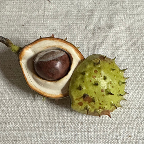 Porcelain Baby Horsechestnut Half Shell with Removable Nut & Lid on Twig