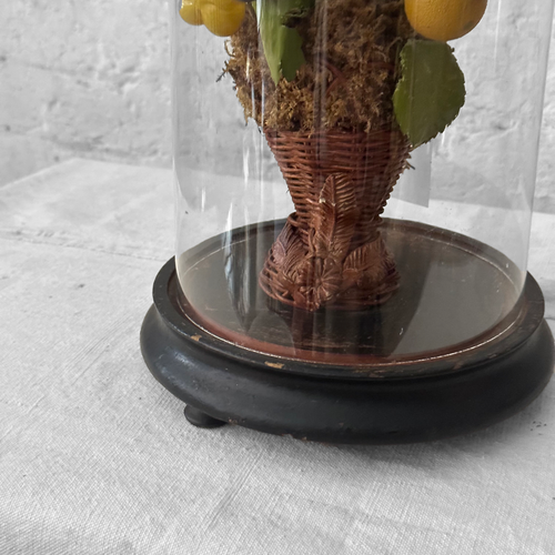 19th Century French Globe de Mariée Marriage Cloche with Fruits (GM04)