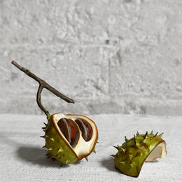 Porcelain Baby Horsechestnut Half Shell with Two Removable Nuts & Lid on Twig