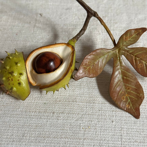 Porcelain Baby Horsechestnut Half Shell with Removable Nut & Lid on Twig with Leaf