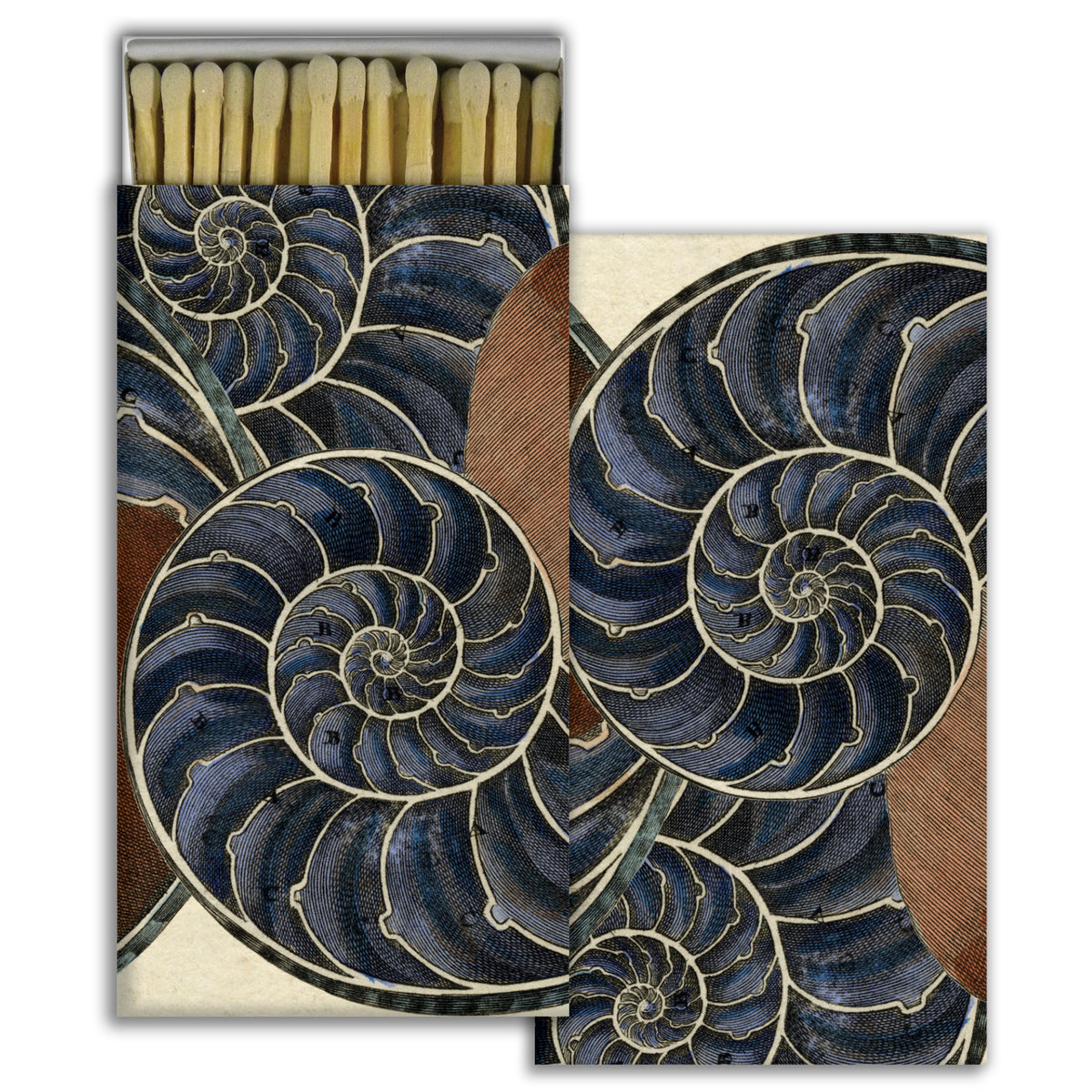 Nautilus