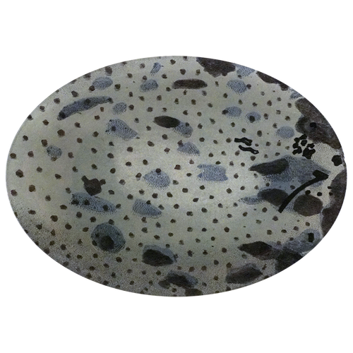 Eggs #18