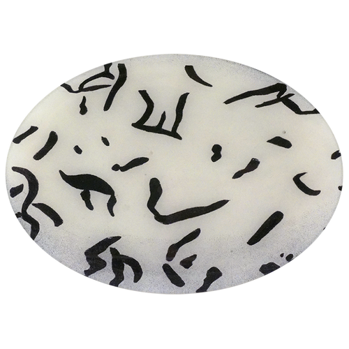 Eggs #19