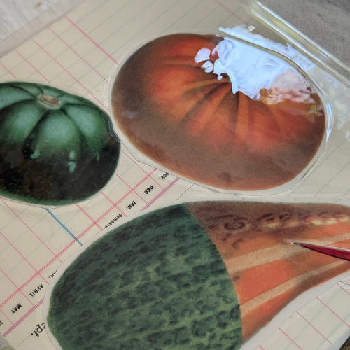 One-of-a-Kind Collaged Gourds & Kingfisher Mat (#10)