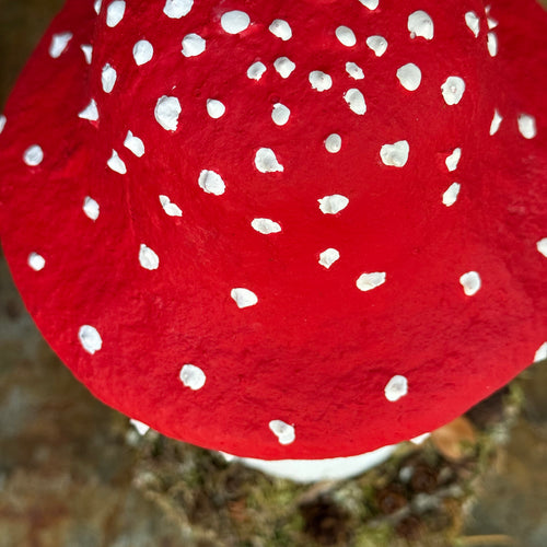 Handmade Wooden Mushroom Creation (#10) by Crystal Stone