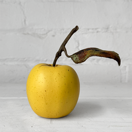 Porcelain Golden Delicious Apple with Leaf