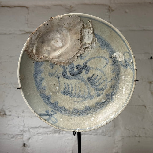 16th-century Ming Dynasty Porcelain Shipwreck Plate
