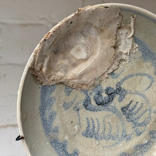 16th-century Ming Dynasty Porcelain Shipwreck Plate