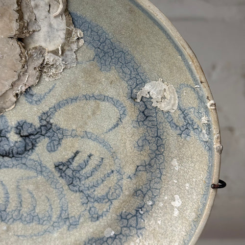 16th-century Ming Dynasty Porcelain Shipwreck Plate
