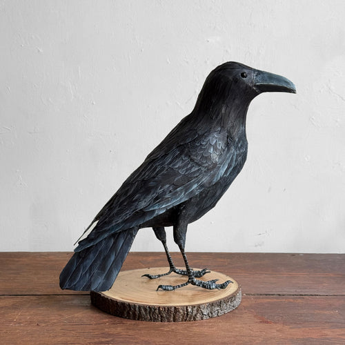 Papier-Mâché Raven