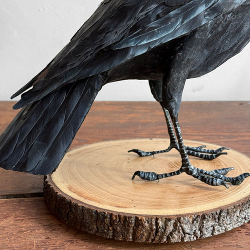 Papier-Mâché Raven