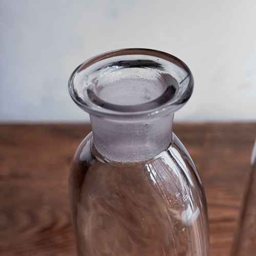Pair of 19th-century French Apothecary Jars