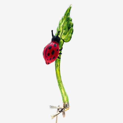 Ladybug on Leaf Clip-On Ornament