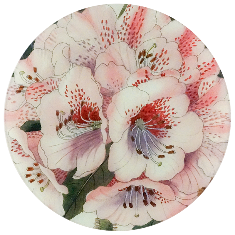 An eleven inch round glass plate with pink and white floral design on a white background.