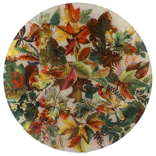 Fall Collage