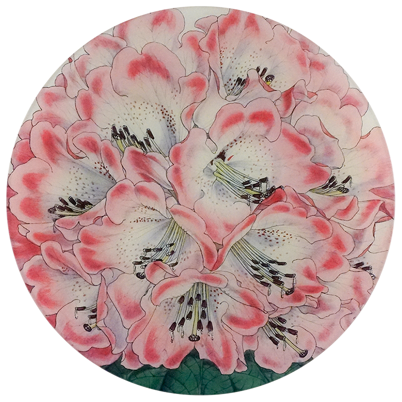 An eleven inch round glass plate with pink floral design on a white background.