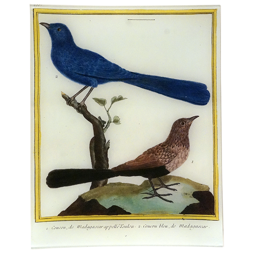 Cuckoo (Martinet)