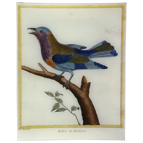Roller (Martinet)