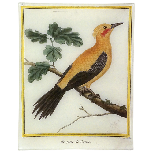 Woodpecker (Martinet)