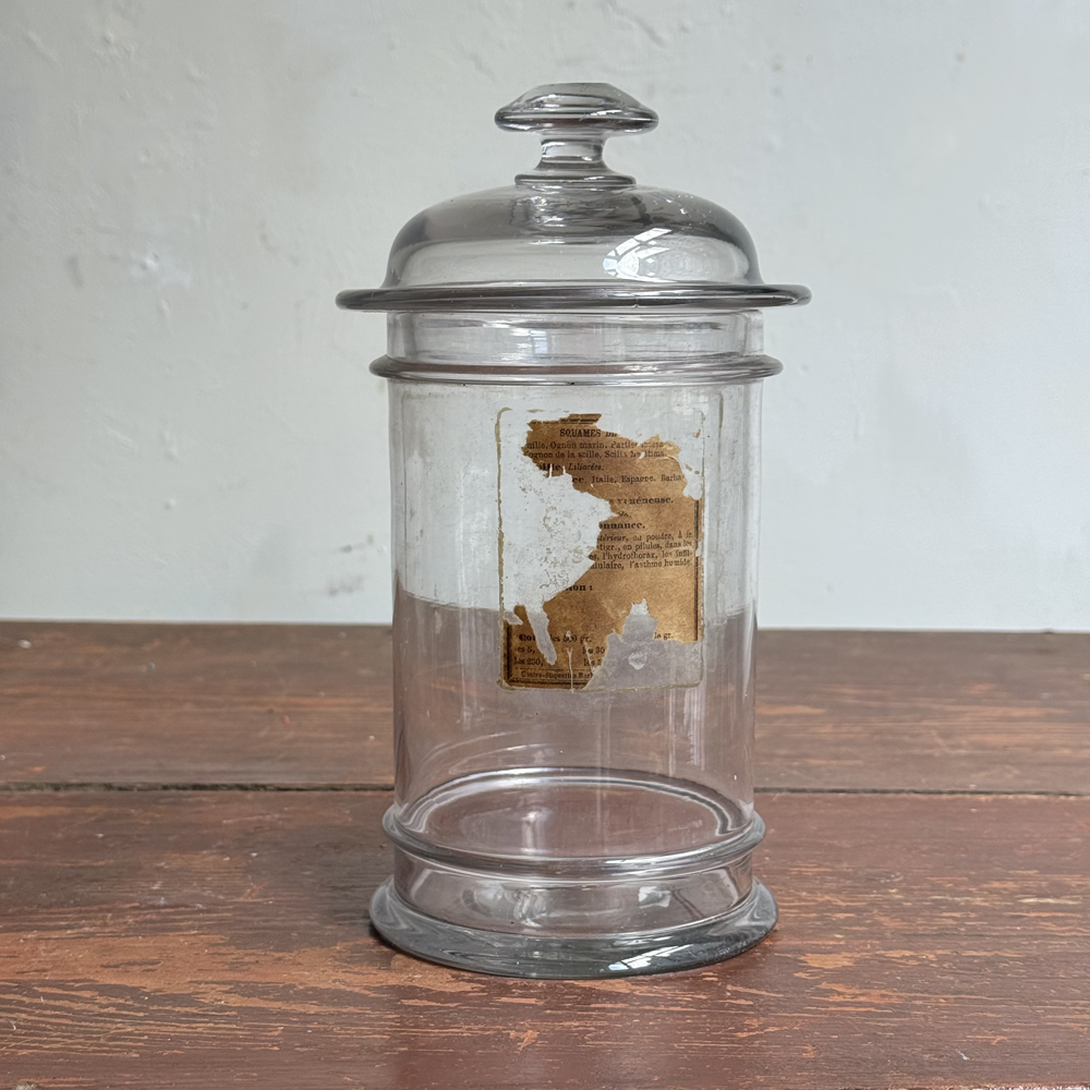 Small 19th-century French Apothecary Jar (20C)