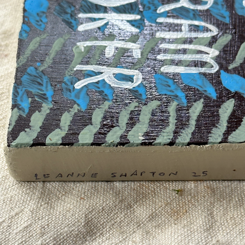 Leanne Shapton "Dracula" Painted Wooden Book