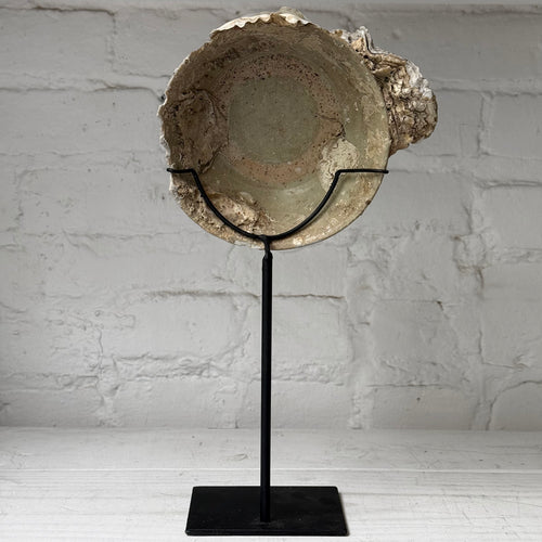 16th-century Ming Dynasty Porcelain Shipwreck Bowl