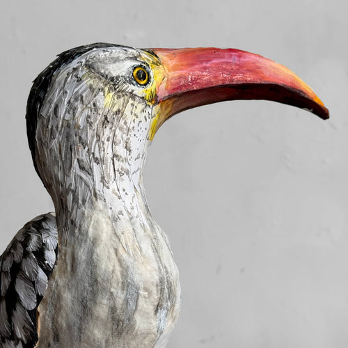 Papier-Mâché  Red Billed Horn Bill