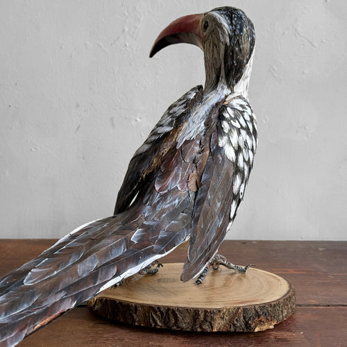 Papier-Mâché  Red Billed Horn Bill