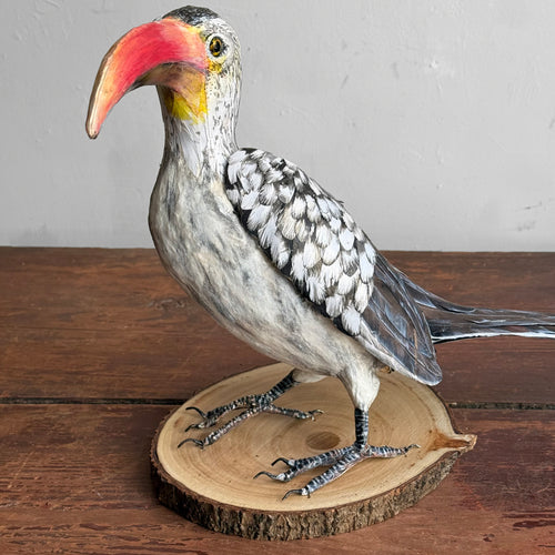 Papier-Mâché  Red Billed Horn Bill
