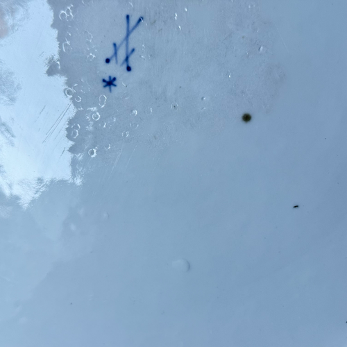 18th-century Meissen Blue & White Charger Platter (K)